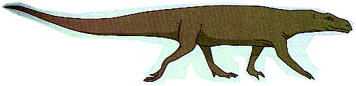 Chiroterium
