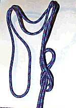 mickey6.jpg (5987 octets)