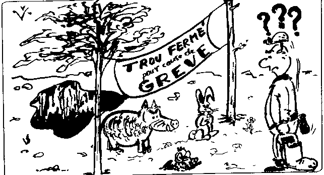 v29.gif (12994 octets)